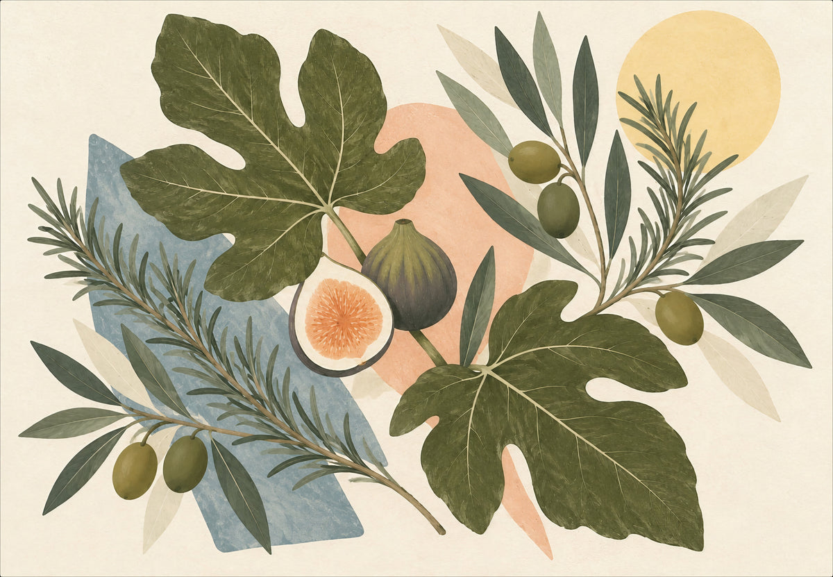 Das Herbarium aus Feige, Olive und Rosmarin (Querformat)