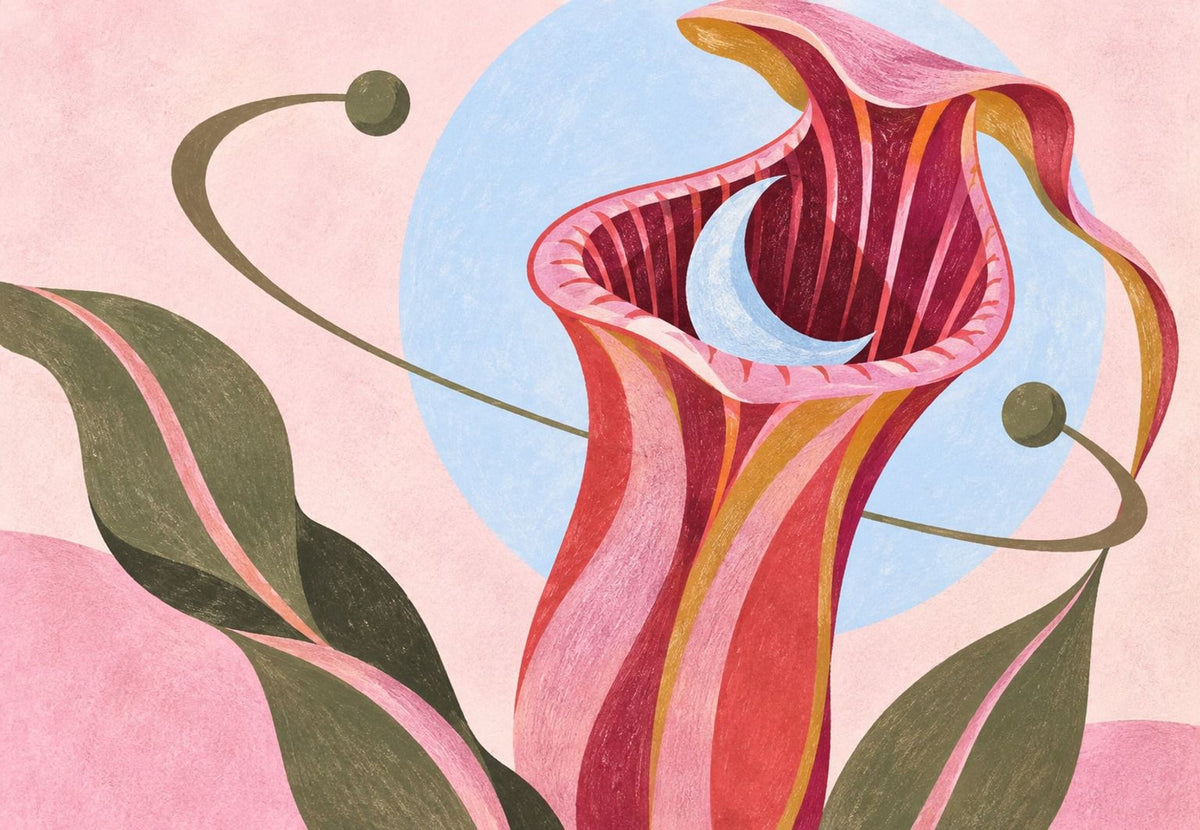 The Carnivorous Plant and Its Crescent Moon