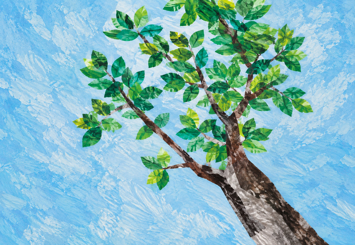 Le ciel sous les branches (Paysage)