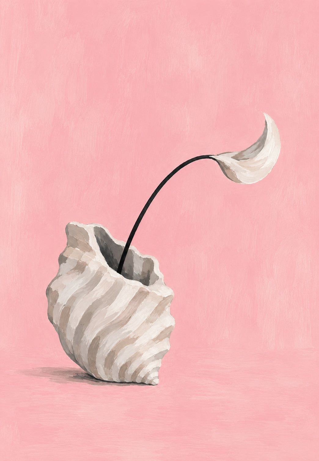 La conchiglia e la foglia bianca