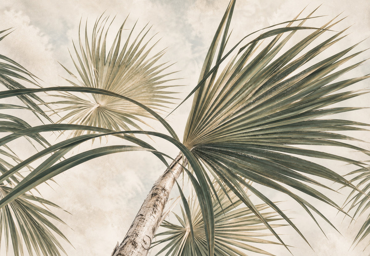Palms Toward the Sky (Landscape)