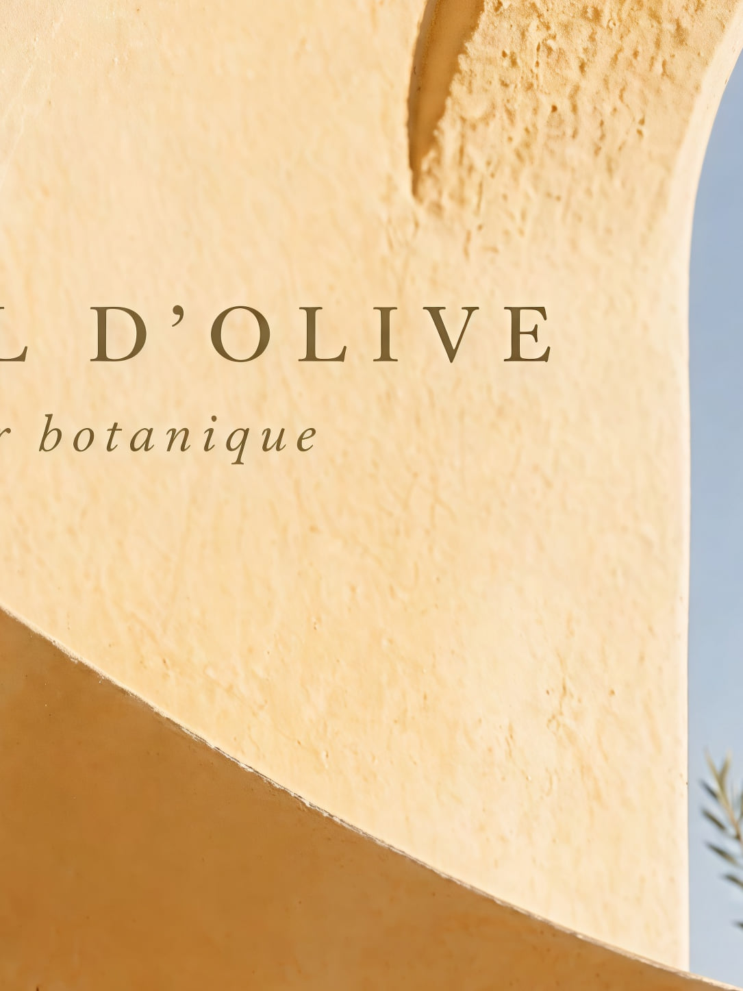 Detail a taille reelle du tirage, affiche nature rameaux d olivier sous une arche ocre