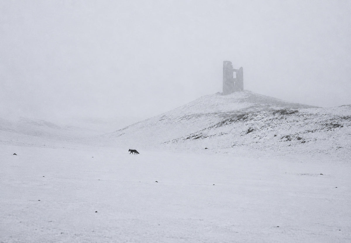 The Fox on the Snowy Hill (Landscape)