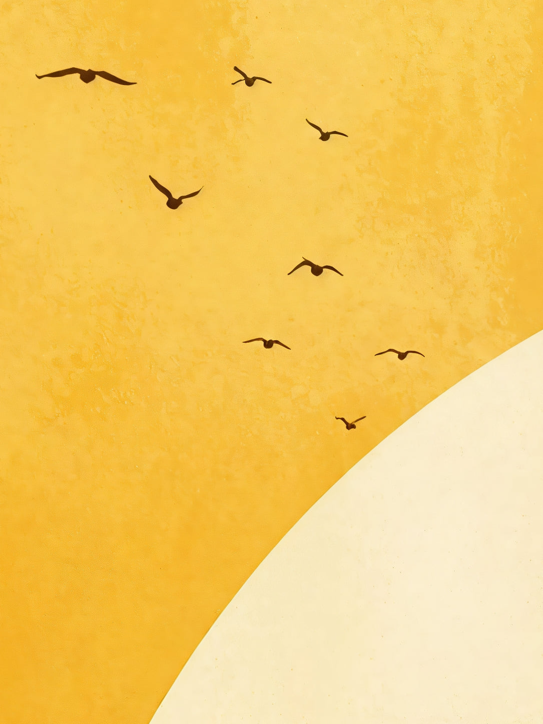 Detail a taille reelle du tirage, affiche oiseau le vol au dessus du grand soleil