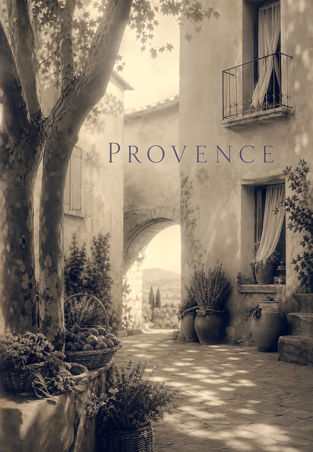 Provence - The shaded courtyard with baskets of figs