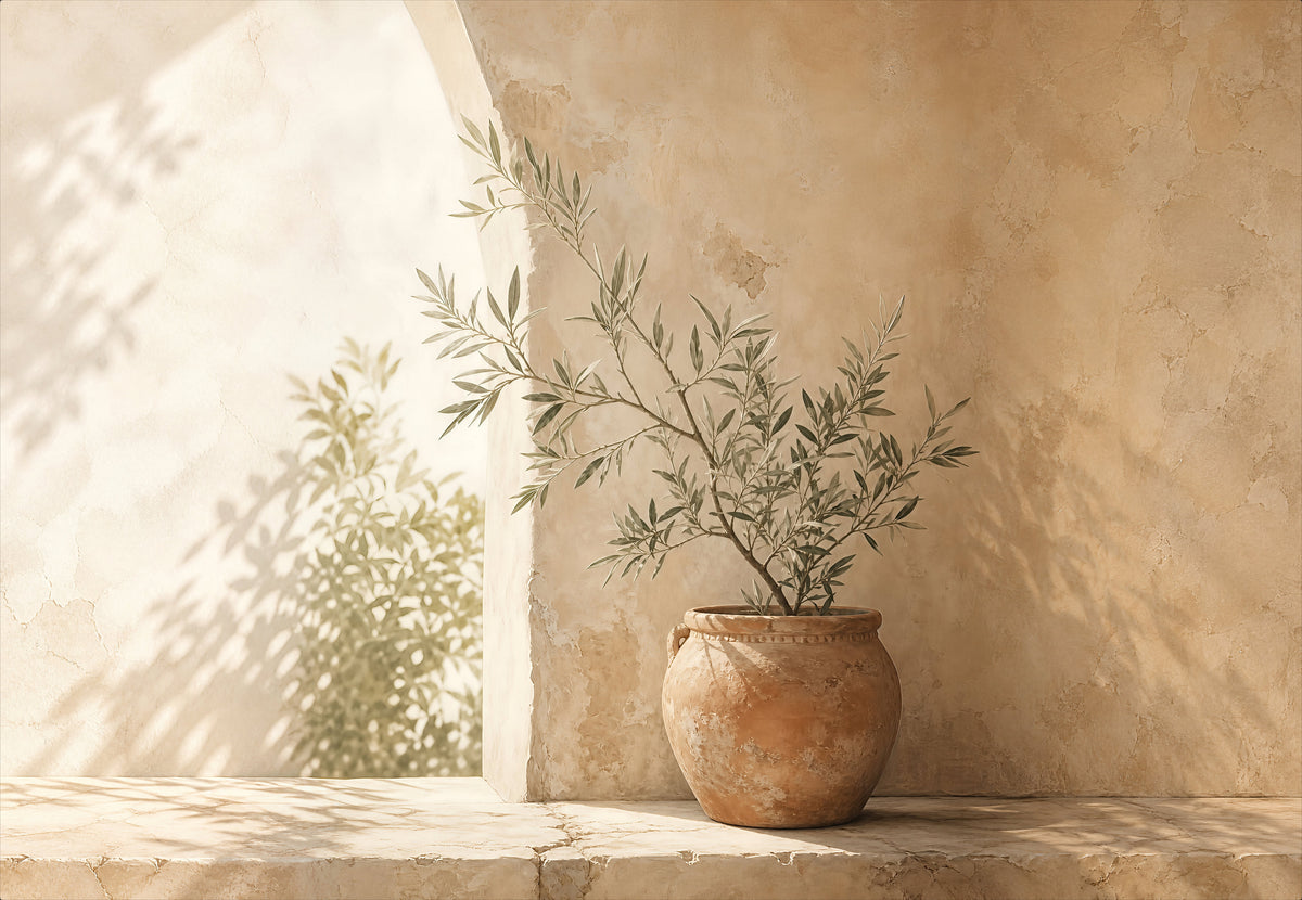 Provence - Olajfa a küszöbön (Fekvő)