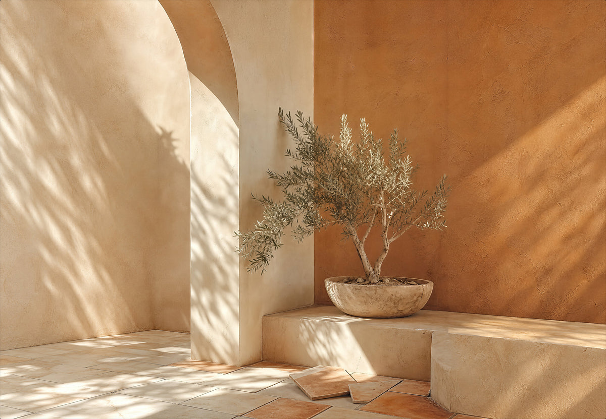 Provence - Az olajfa a medencéjében (Fekvő)