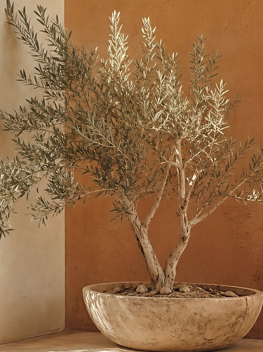 Detail a taille reelle du tirage, affiche provence olivier terracotta soleil paysage