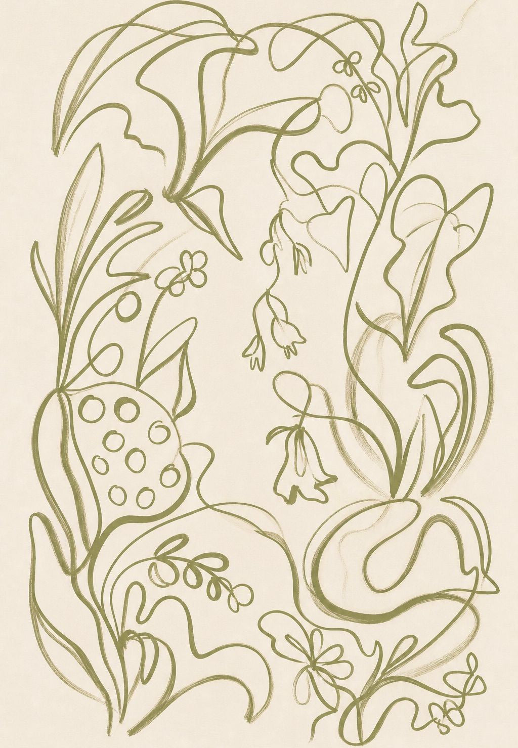 Das Herbarium in Linien