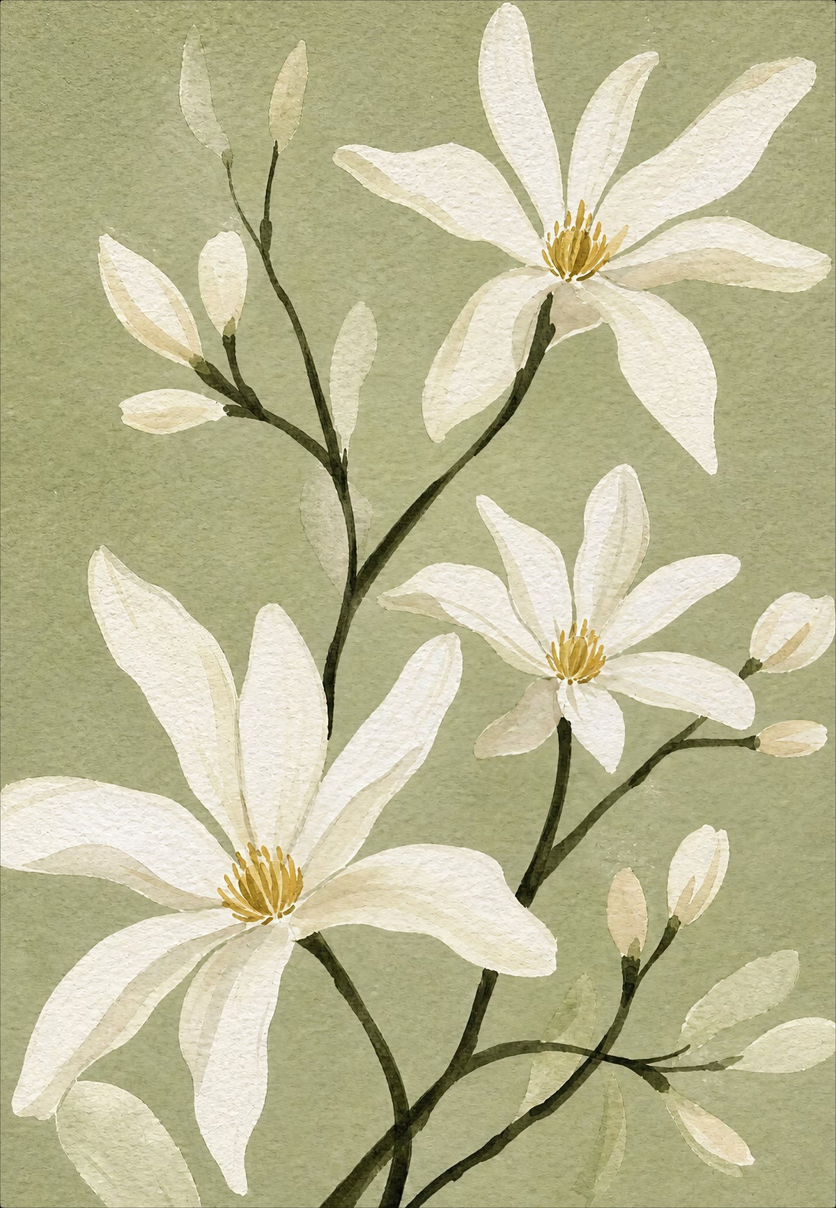 Sternmagnolien auf Salbeigrün