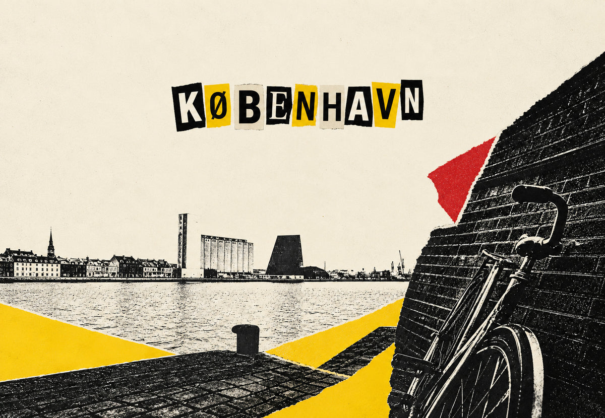 Kopenhaga, rower na nabrzeżu (Poziom)