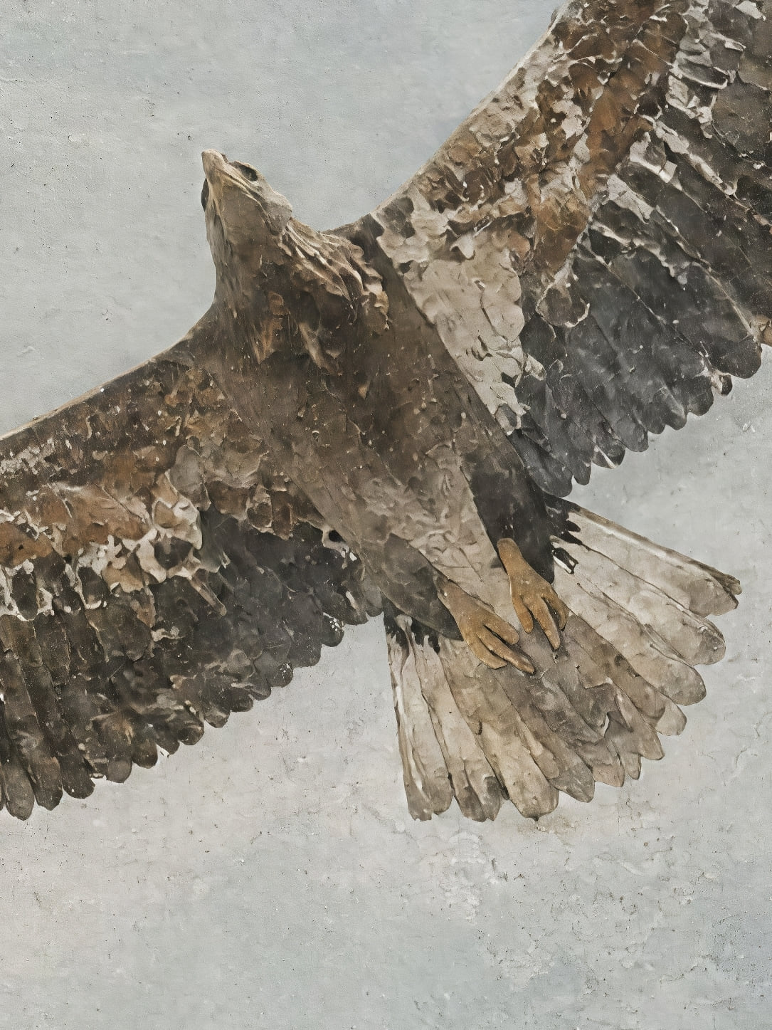 Affiche zoomée, L'aigle en plein vol